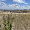 IMG 7040
